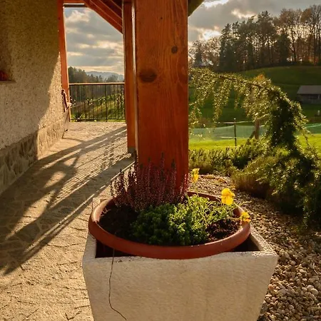 Dobrotin Сasa de vacaciones Vojnik