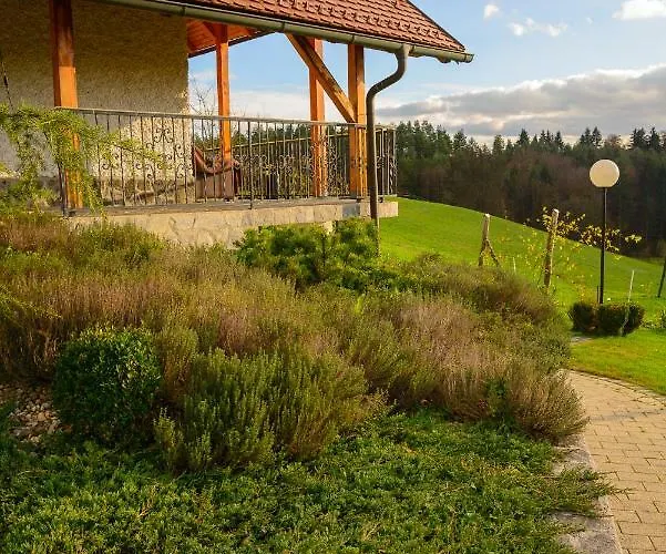 Dobrotin Semesterbostad Vojnik