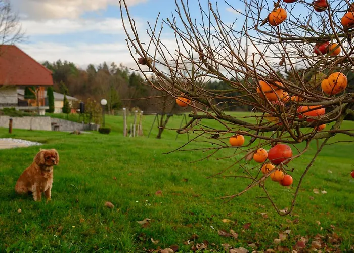 Dobrotin Semesterbostad *