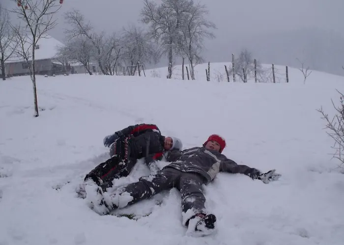 Dobrotin Casa de Férias *